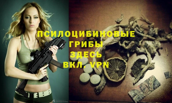 прущая мука Гусь-Хрустальный