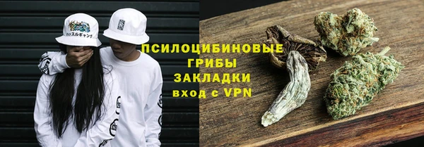 не бодяженный Гусев