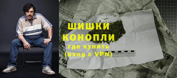 не бодяженный Гусев