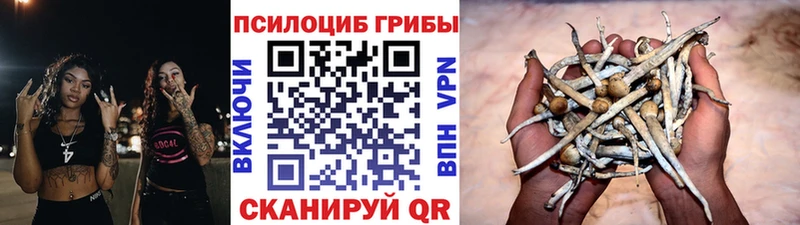 Купить закладки  Тбилисская  Галлюциногенные грибы мицелий 